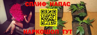 гидра Волжский