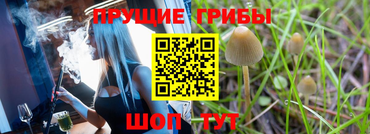 Псилоцибиновые грибы ЛСД Златоуст